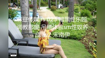 麻豆传媒 rs 023 暗黑性乐园 调教部屋 吊缚体验sm性奴养成 av2 宋南伊